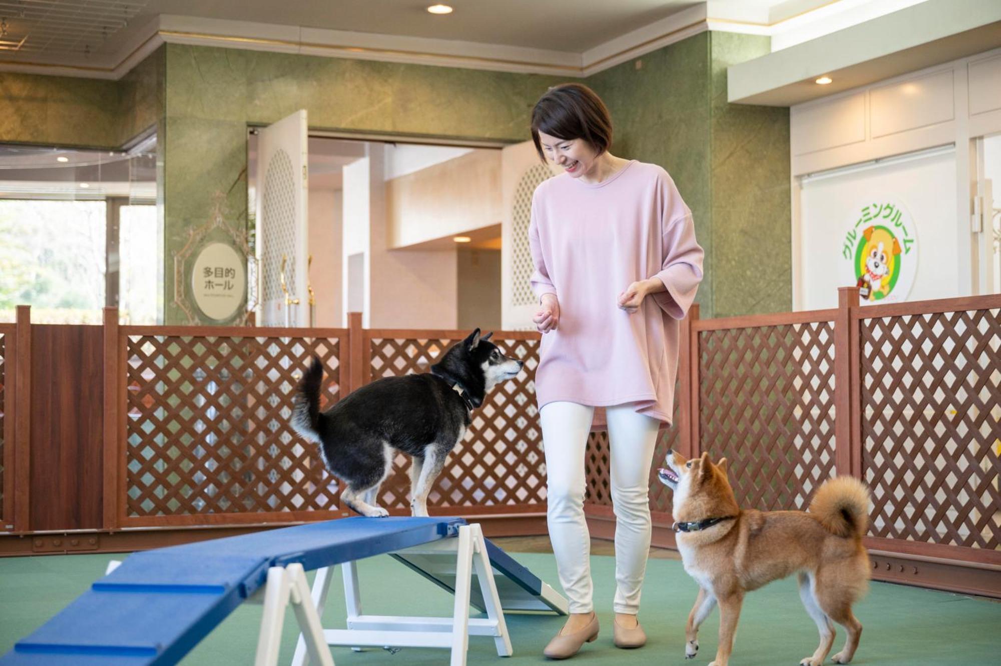 Izumigo Lake Hamana Dog Paradise Hotel Hamamatsu Bagian luar foto